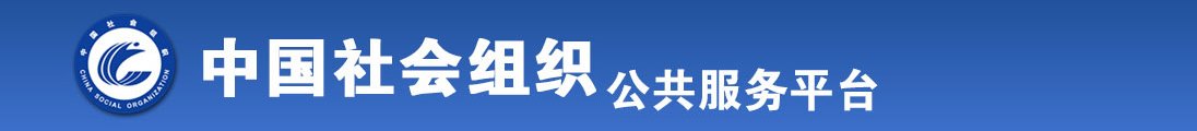 逼片網站全国社会组织信息查询